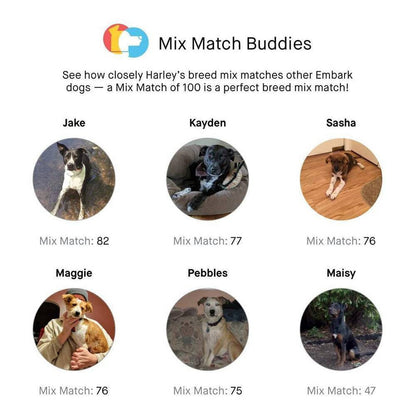 Embark Dog DNA Test, Breed Identification Kit