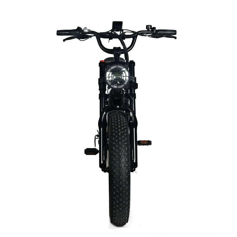 Electric Mountain Bike for Adults | 20 x 4.0 Fat Tires, 1000W Motor, 48V 20Ah Removable Battery, Max Speed 45MPH, Shi Mano 7-Speed for Off-Road Adventures
